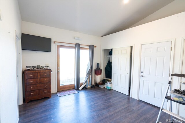 11865 Rangeview Cir, Salida, CO 81201 - entryway featuring vaulted ceiling and dark wood-type flooring