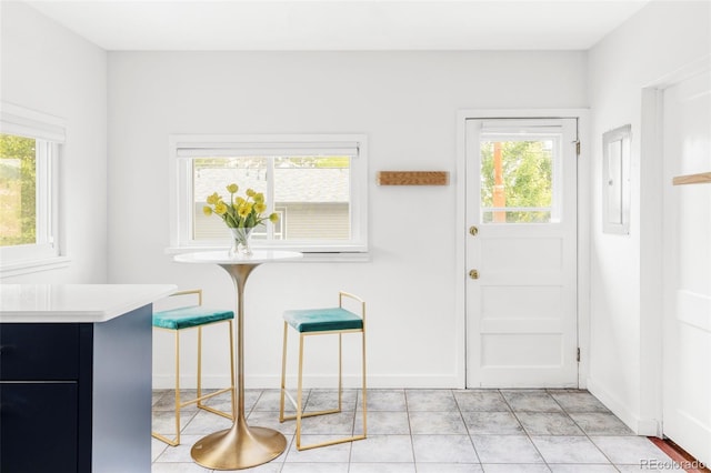 4421 Raleigh St, Denver, CO 80212 - foyer with healthy amount of natural light, electric panel, and light tile patterned flooring