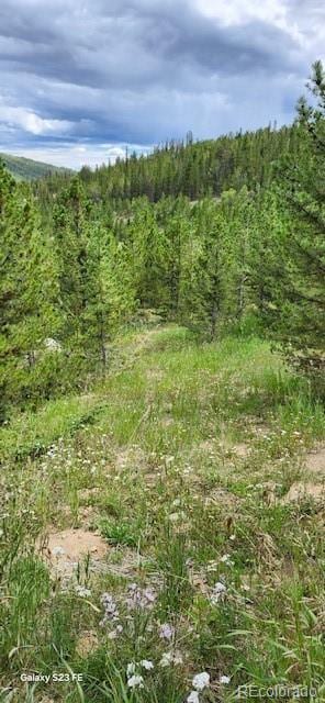 000 Alice Rd, Idaho Springs CO, 80452 land for sale