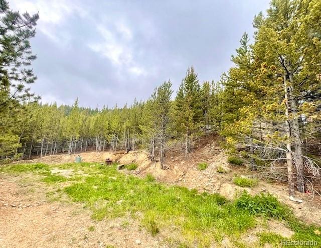 000 Alice Rd, Idaho Springs, CO 80452