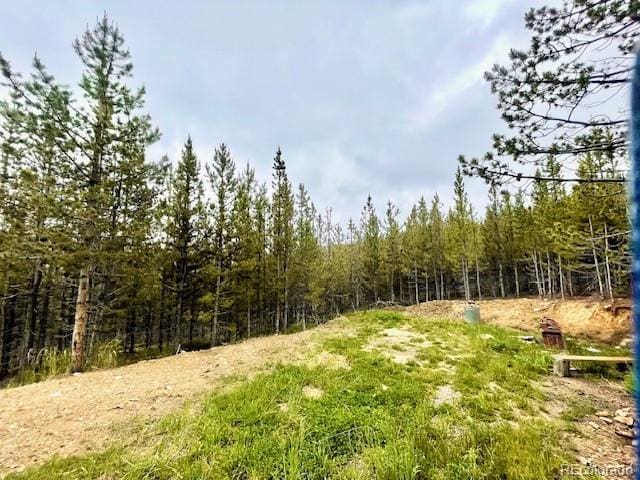000 Alice Rd, Idaho Springs, CO 80452