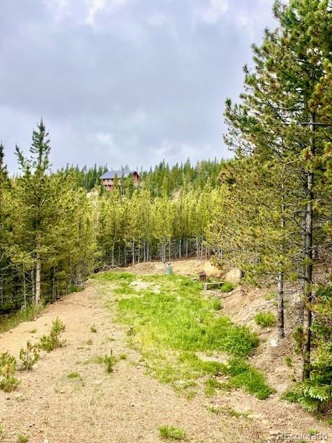 000 Alice Rd, Idaho Springs, CO 80452