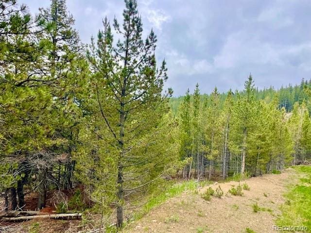 000 Alice Rd, Idaho Springs, CO 80452