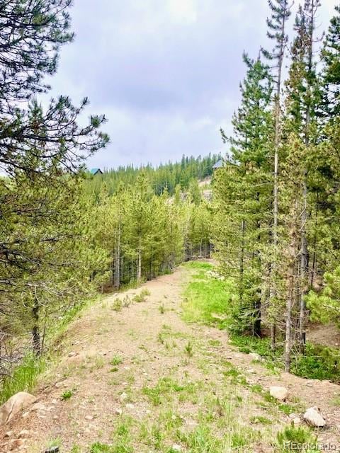 000 Alice Rd, Idaho Springs, CO 80452