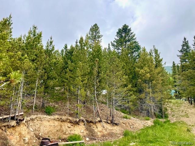 000 Alice Rd, Idaho Springs, CO 80452
