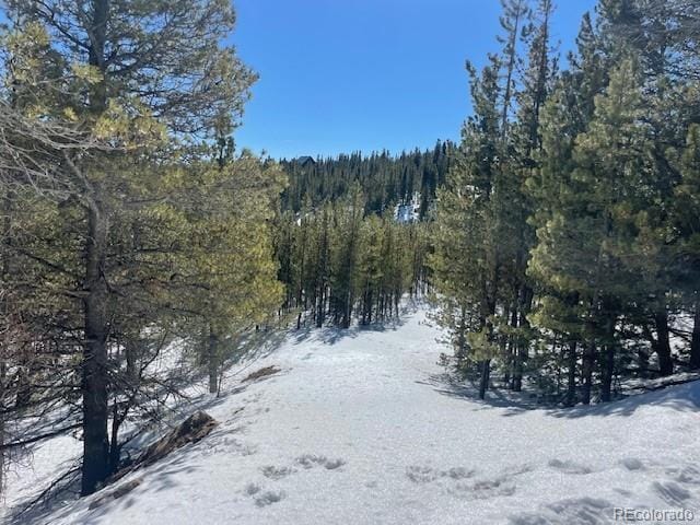 000 Alice Rd, Idaho Springs, CO 80452