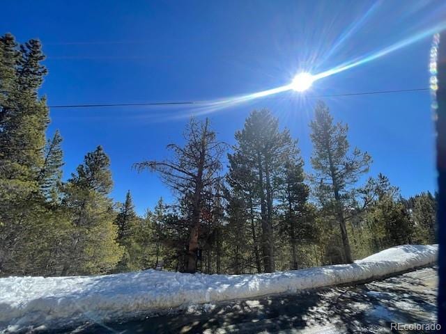 000 Alice Rd, Idaho Springs, CO 80452