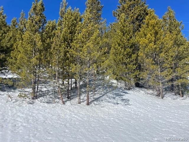 000 Alice Rd, Idaho Springs, CO 80452