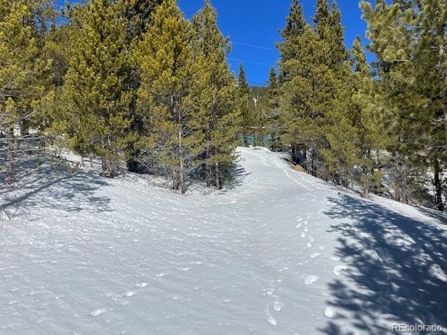 000 Alice Rd, Idaho Springs, CO 80452