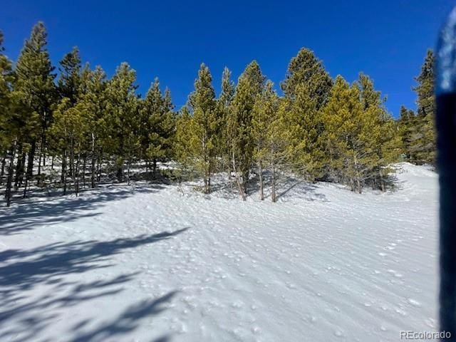000 Alice Rd, Idaho Springs, CO 80452