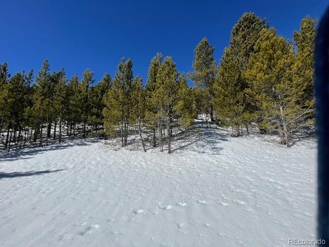 000 Alice Rd, Idaho Springs, CO 80452