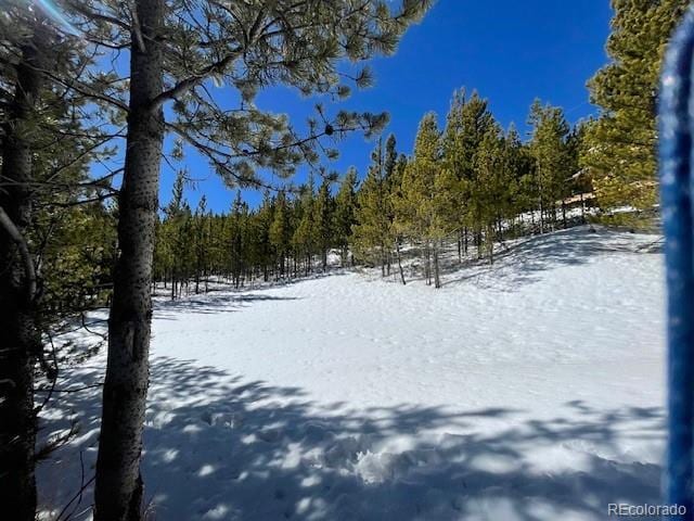 000 Alice Rd, Idaho Springs, CO 80452