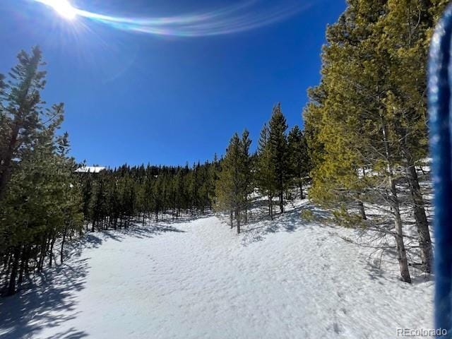 000 Alice Rd, Idaho Springs, CO 80452