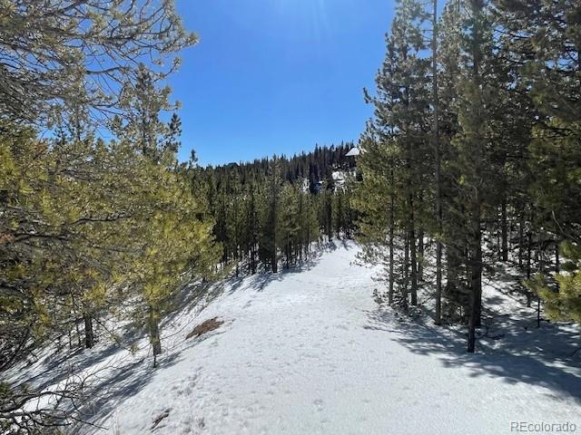 000 Alice Rd, Idaho Springs, CO 80452