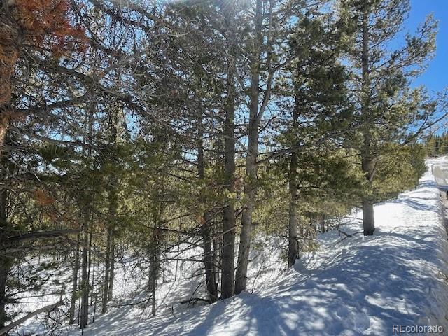 000 Alice Rd, Idaho Springs, CO 80452
