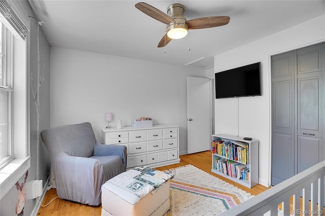 sitting room with a ceiling fan, light wood-style flooring, and attic access