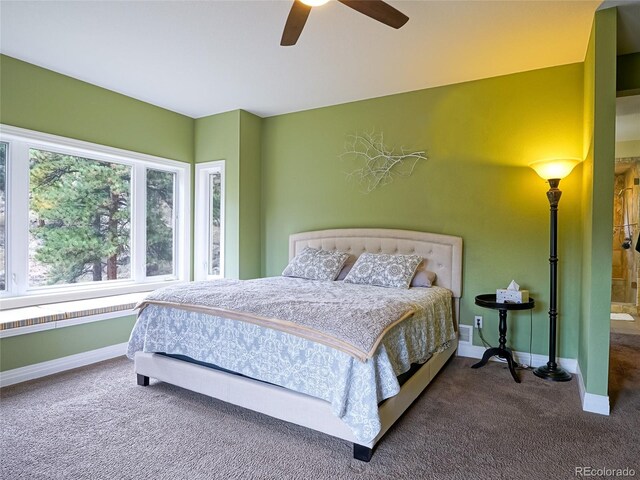 180 Valley View Ln, Lyons, CO 80540 - photo 19