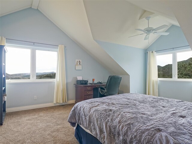 180 Valley View Ln, Lyons, CO 80540 - photo 28