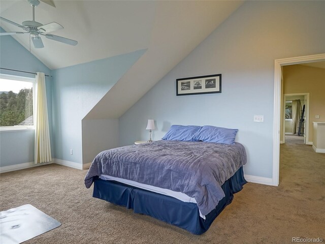 180 Valley View Ln, Lyons, CO 80540 - photo 29