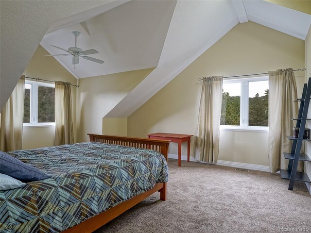 180 Valley View Ln, Lyons, CO 80540 - photo 31