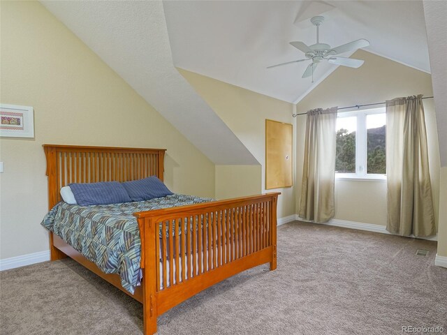 180 Valley View Ln, Lyons, CO 80540 - photo 32