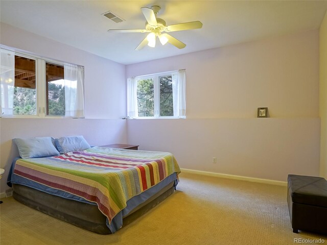180 Valley View Ln, Lyons, CO 80540 - photo 38