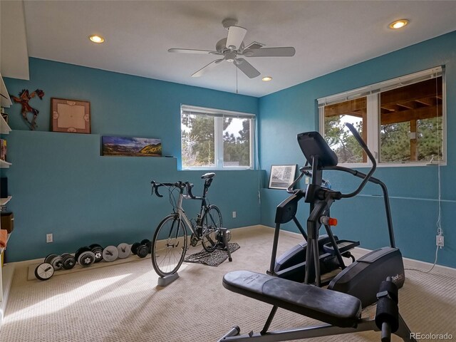 180 Valley View Ln, Lyons, CO 80540 - photo 41