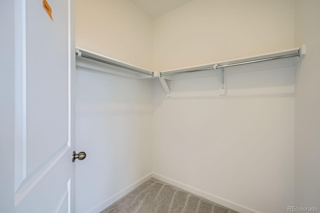 700 N Bently St, Watkins, CO 80137 - walk in closet featuring light carpet