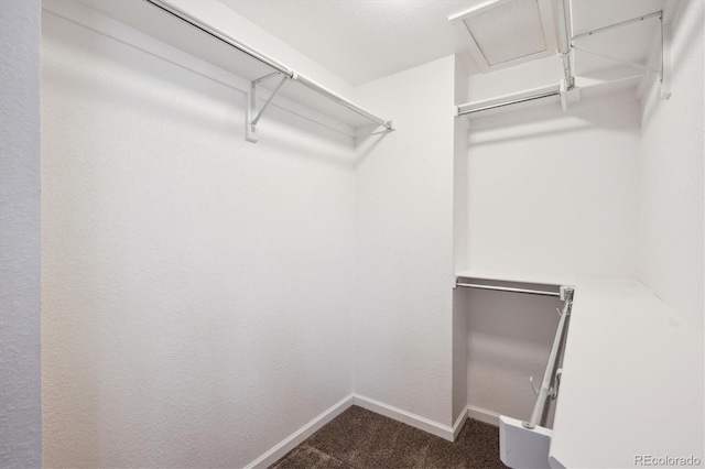 walk in closet featuring dark carpet