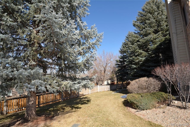 view of yard featuring fence