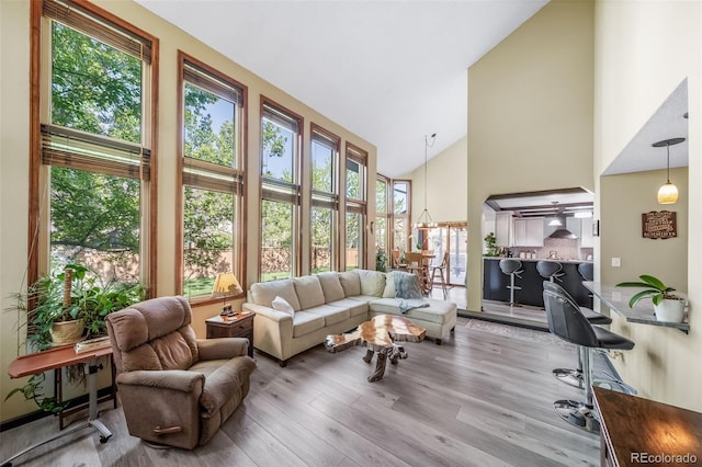 living room with high vaulted ceiling, healthy amount of natural light, and wood finished floors