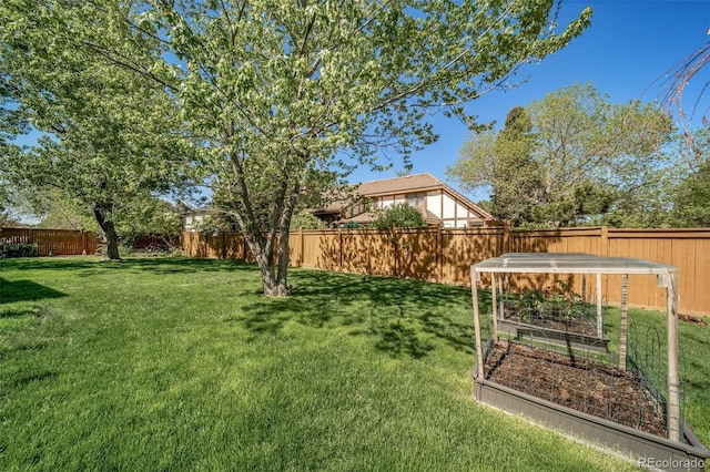 view of yard with a garden