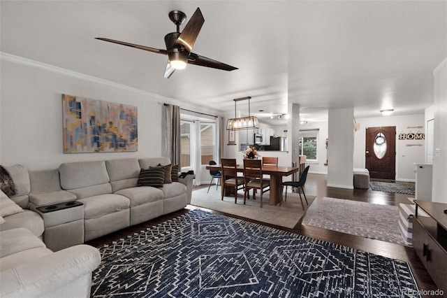 living room featuring dark wood-type flooring, crown molding, ceiling fan, and baseboards