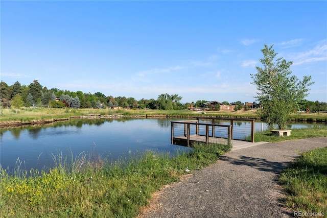 90 Meade Ln, Cherry Hills Village, CO 80113 - photo 11