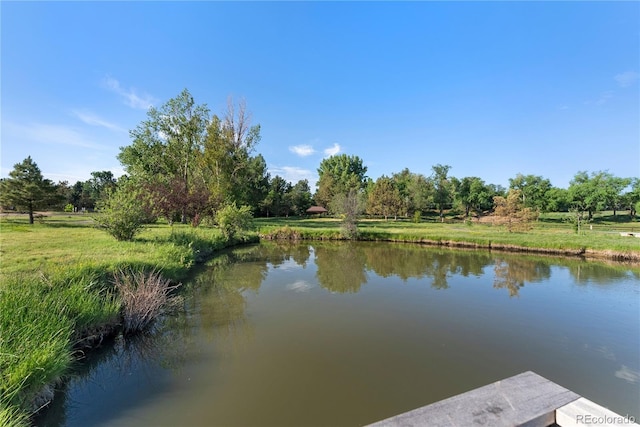 90 Meade Ln, Cherry Hills Village, CO 80113 - photo 12