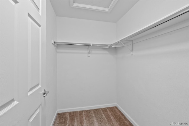 23451 E 5th Dr Unit 203, Aurora, CO 80018 - walk in closet featuring carpet