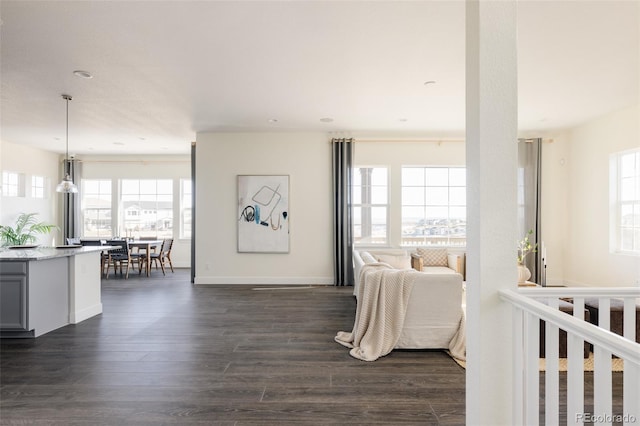 interior space featuring multiple windows and dark hardwood / wood-style floors