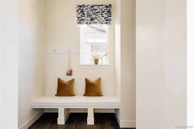 mudroom featuring dark wood-type flooring