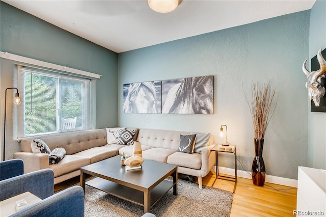 living room featuring wood-type flooring