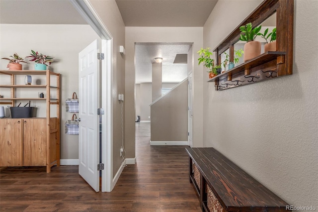 5758 Echo Park Cir, Castle Rock, CO 80104 - photo 7