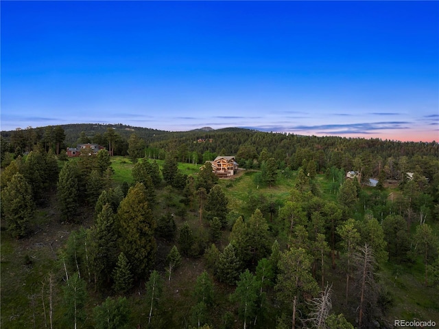 28532 Hummingbird Hill Rd, Conifer, CO 80433 - photo 4