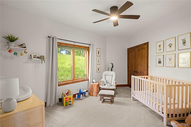 28532 Hummingbird Hill Rd, Conifer, CO 80433 - photo 27