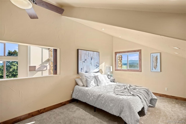28532 Hummingbird Hill Rd, Conifer, CO 80433 - photo 31