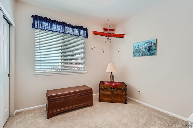 living area with carpet floors