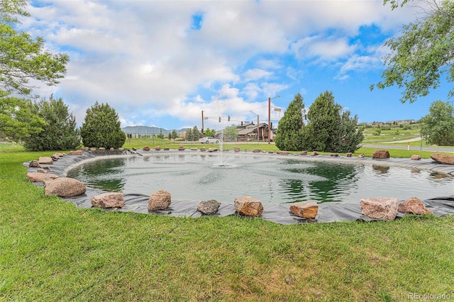 7930 Alkire St, Arvada, CO 80005 - photo 40
