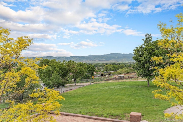 7930 Alkire St, Arvada, CO 80005 - photo 42