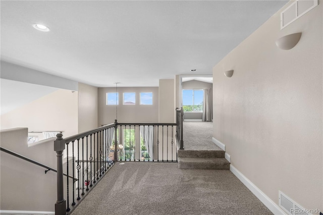 8922 S Tuscany Ln, Highlands Ranch, CO 80130 - photo 26