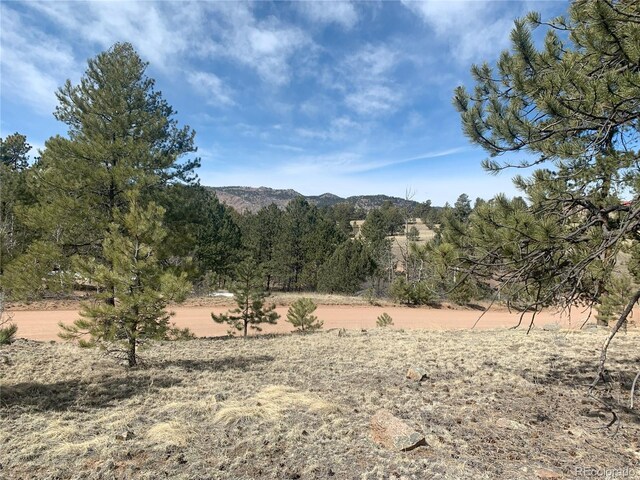 173 Crescent Dr, Florissant, CO 80816