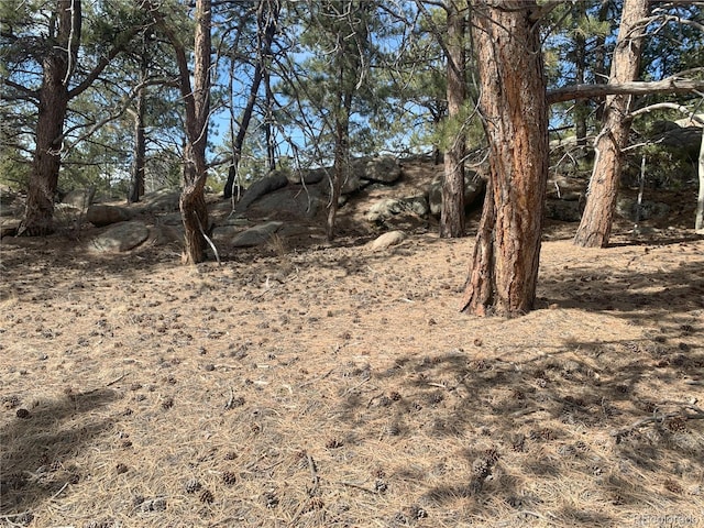 173 Crescent Dr, Florissant, CO 80816