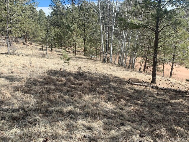 173 Crescent Dr, Florissant, CO 80816